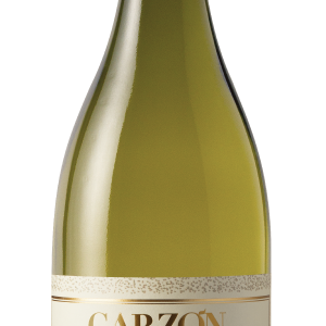 Bodega Garzon Albarino Reserva