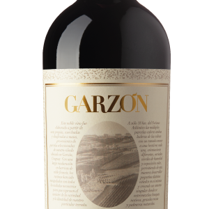 Bodega Garzon Tannat Reserva