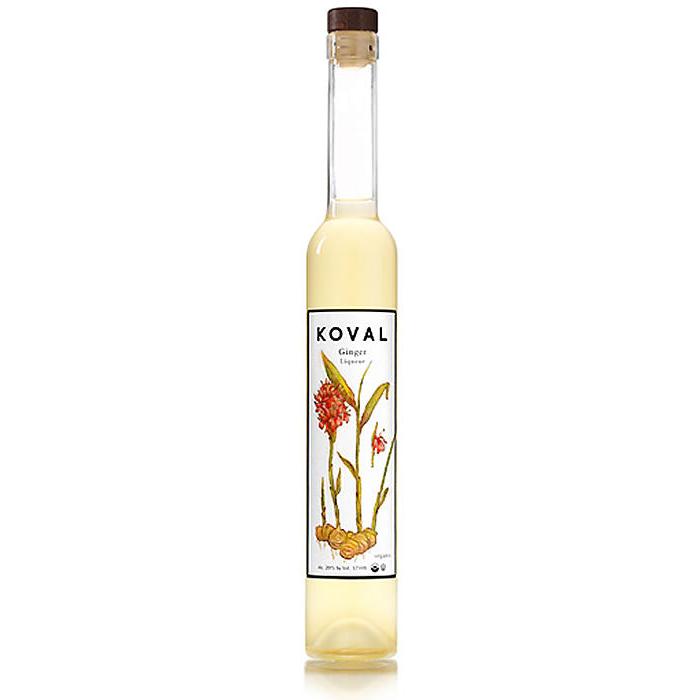 Koval Ginger