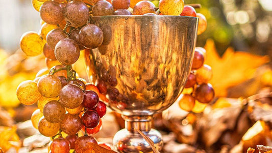 Best Fall Drinks: Perfect Wines to Enjoy in Autumn