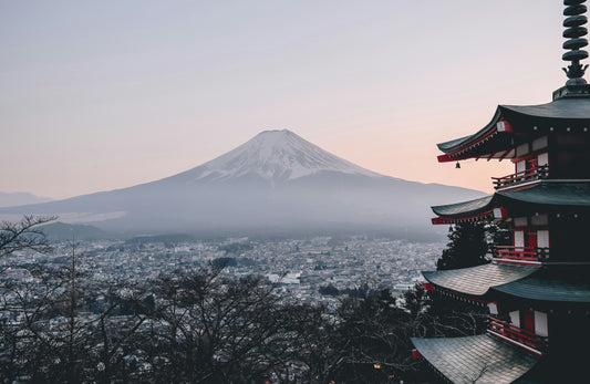 Discovering Kimoto Sake: A Journey Into Japan’s Ancient Brewing Art