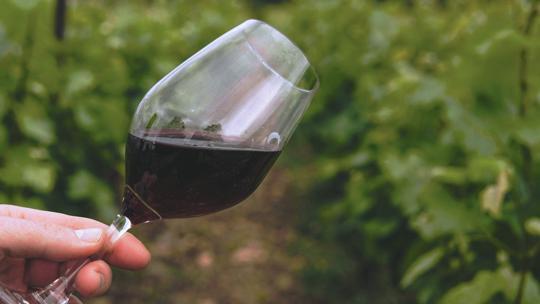 Grace and Balance: The Aesthetics of Moderation in Wine