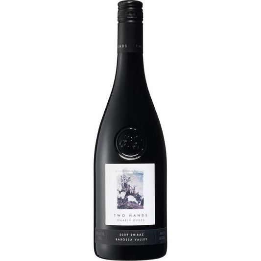 Two Hands Gnarly Dudes Shiraz